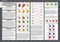 Investigations of dust heating in M81, M83, and NGC 2403 with Herschel and Spitzer icon