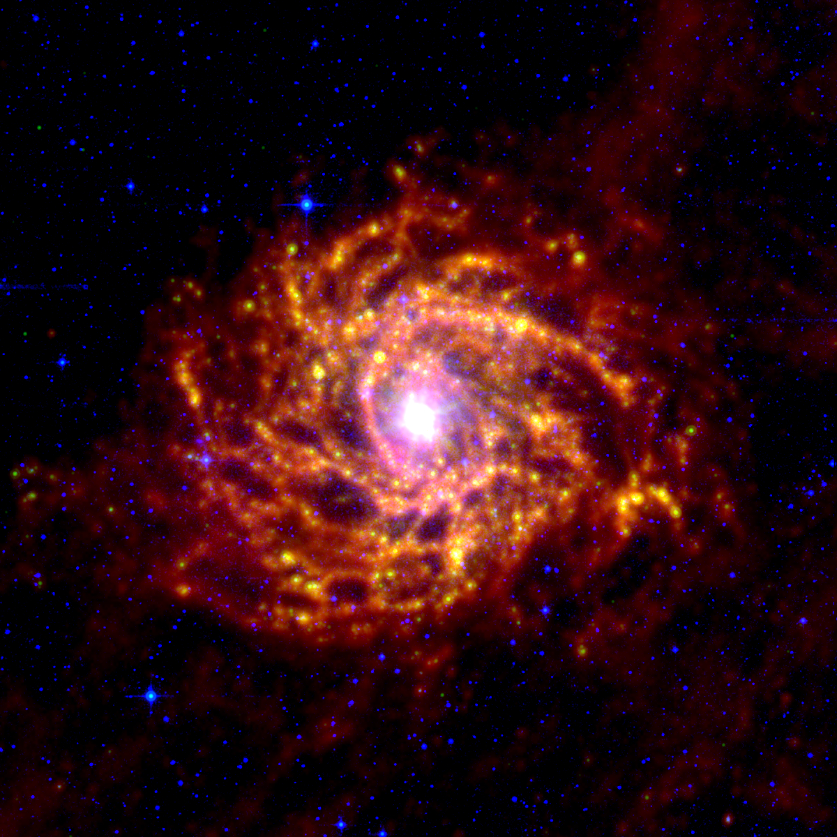 IC 342 as seen in the infrared
