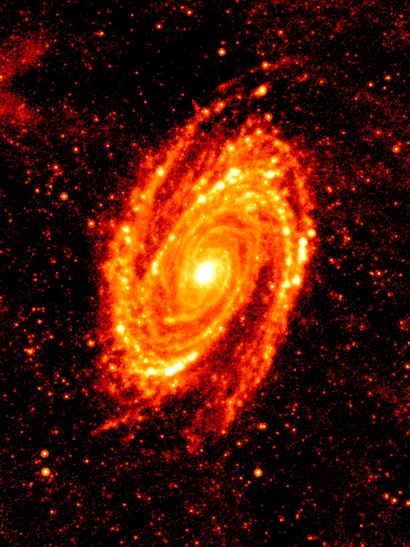 M81 (NGC 3031) as seen in mid-infrared emission