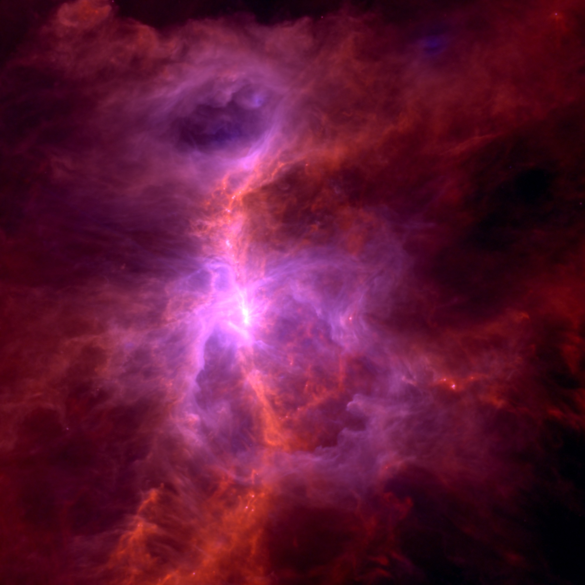 M42 as seen in the infrared