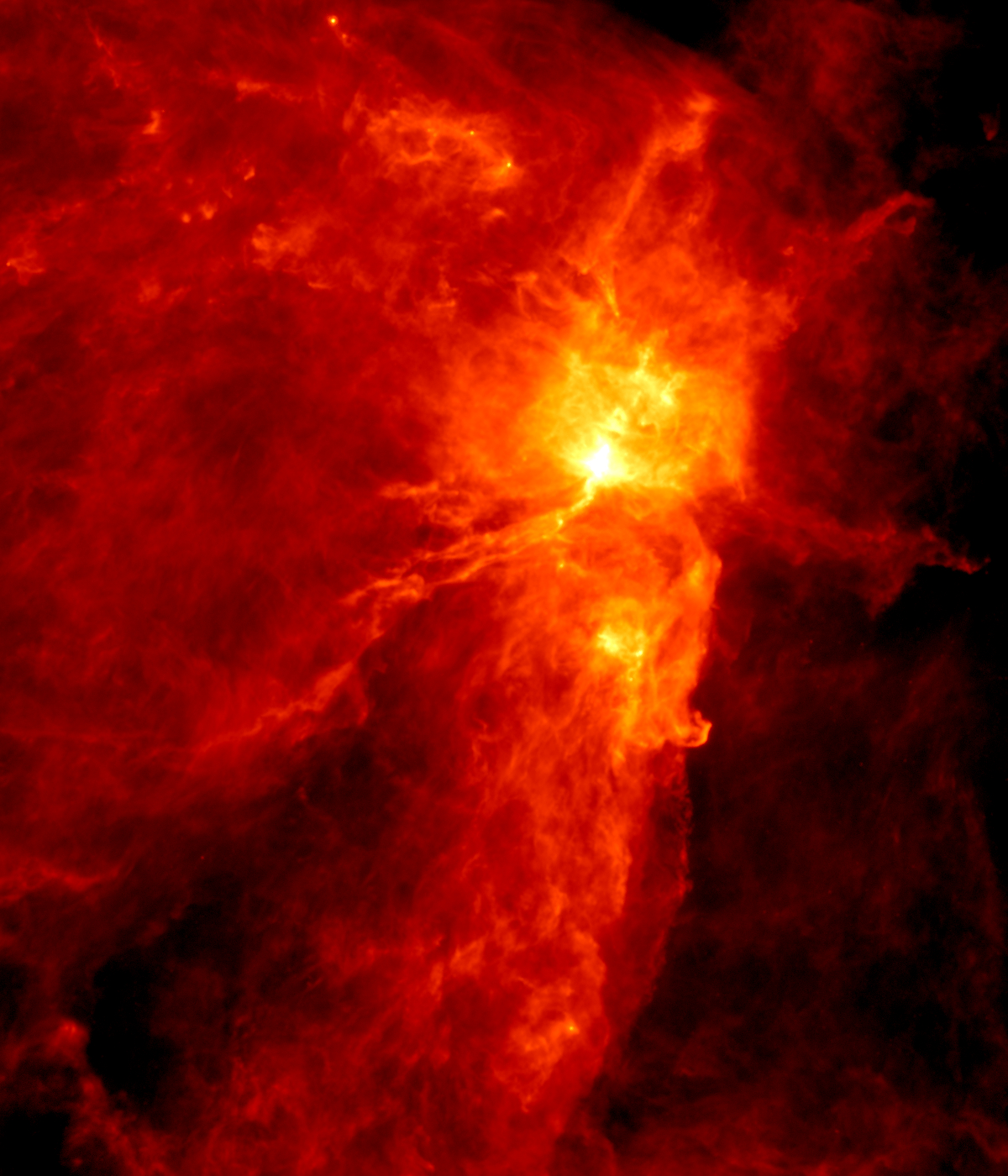 Orion B as seen in the far-infrared